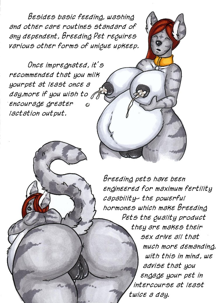 An Instructional Guide page 5 full