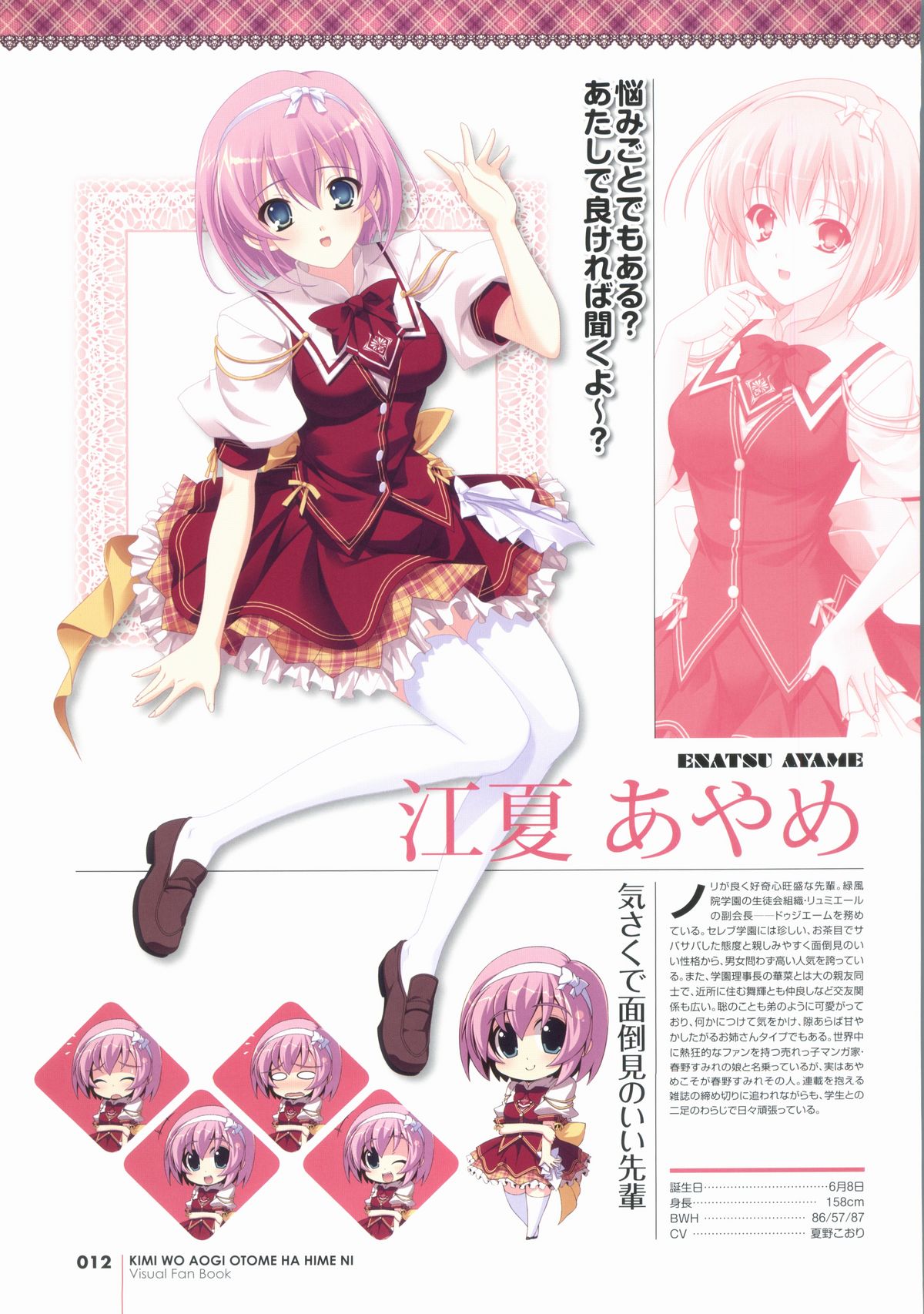 Kimi wo Aogi Otome wa Hime ni Visual Fan Book page 12 full
