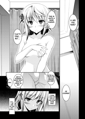 [ELHEART'S (息吹ポン)] A Story About What Ichika, One of the Most Dense Oaf Ever, and Charl did in the Fitting Room (Infinite Stratos) (INCOMPLETE) cover