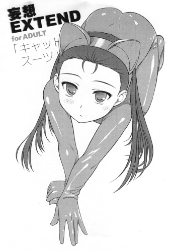 (COMIC1☆4) [Flavor Graphics (Mizui Kaou)] Mousou Extend (THE IDOLM@STER) cover