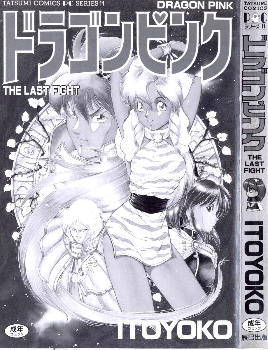 Dragon Pink THE LAST FIGHT page 3 full