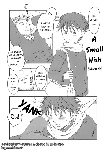 (Shota Scratch) [Rorororomo (Sakura Kei)] Chiisana Negai | A Small wish (Shounen Iro Zukan 3 ~Shao Airen~) [English] {WarDance} cover