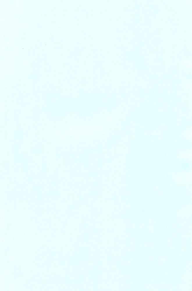 Plum Juice page 2 full