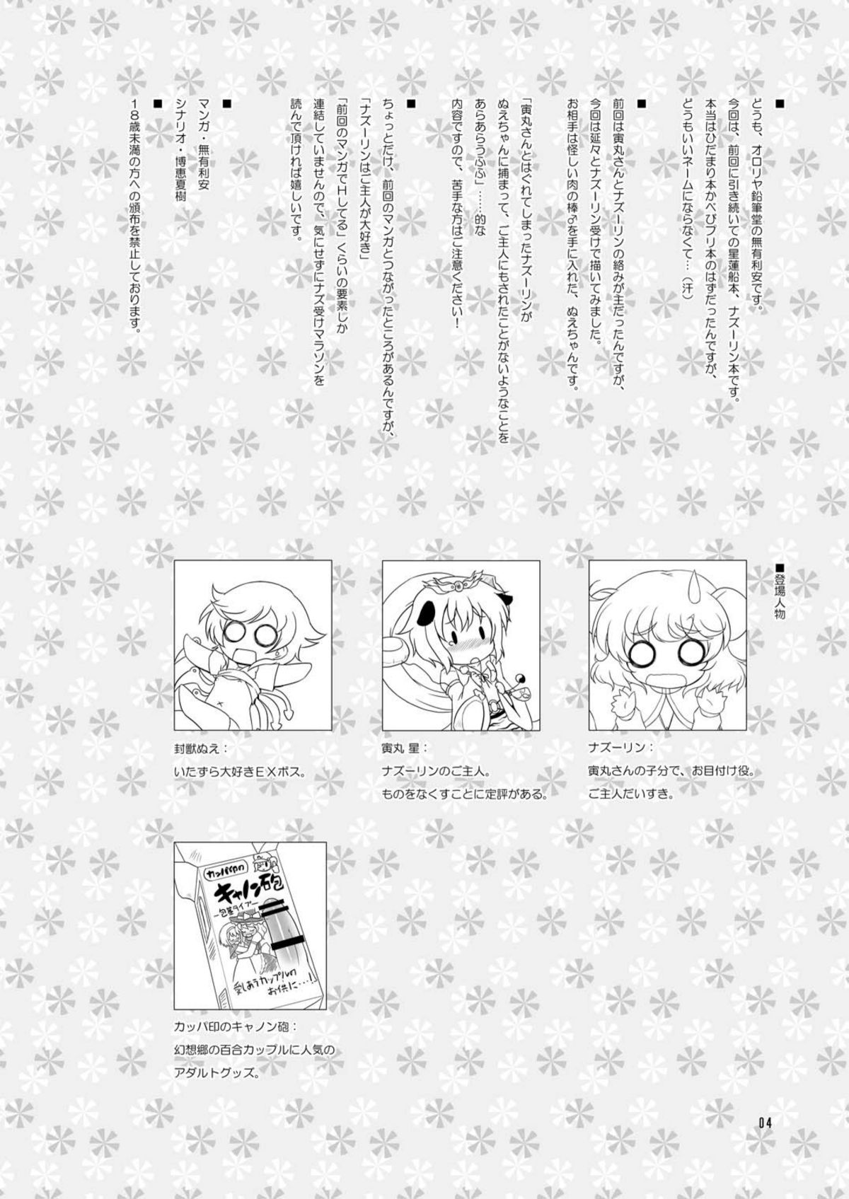 Watashi no Nazrin 2 page 4 full