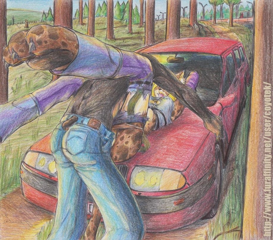coyotek page 1 full