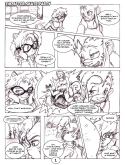 The After Skate Party