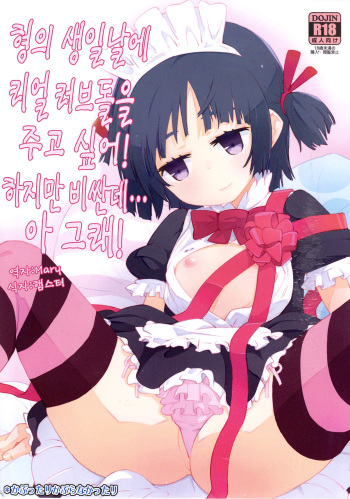 (C82) [Kabuttari Kaburanakattari (Seihoukei)] Onii-chan no Tanjoubi ni Real Love Doll wo Agetai! Demo Takai shi......Sou da! [Korean] cover