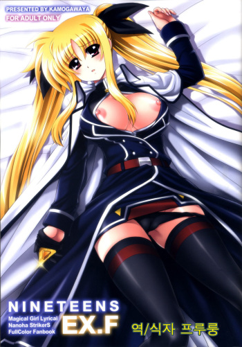 (C81) [Kamogawaya (Kamogawa Tanuki)] NINETEENS EX.F (Mahou Shoujo Lyrical Nanoha StrikerS) [Korean] cover