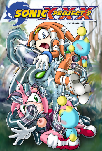 [Palcomix] Sonic XXX Project #2 (Sonic the Hedgehog) [Spanish] [LKNOFansub] cover