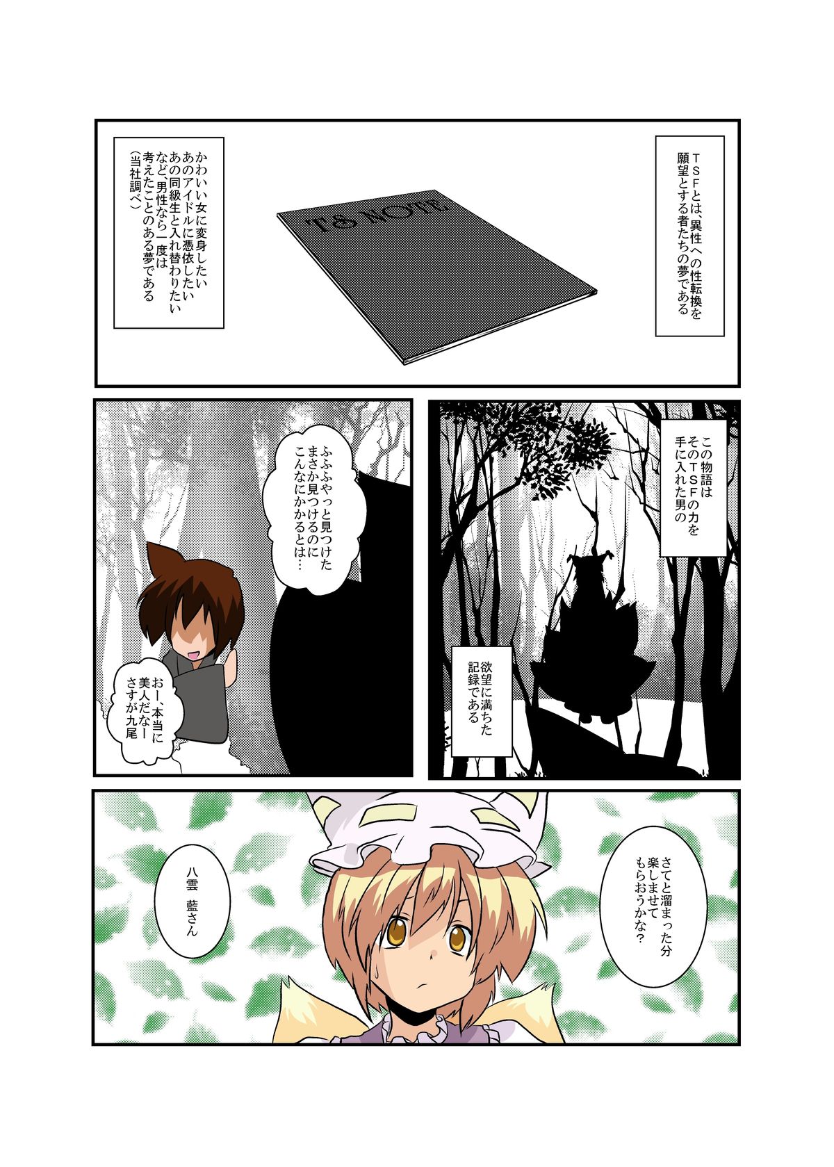 Touhou TS monogatari ~ ran-hen ~ page 4 full