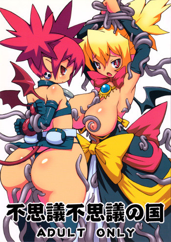 (C70) [NandeQ (Sakuemon)] In Wonderland Wonderland (Disgaea) cover