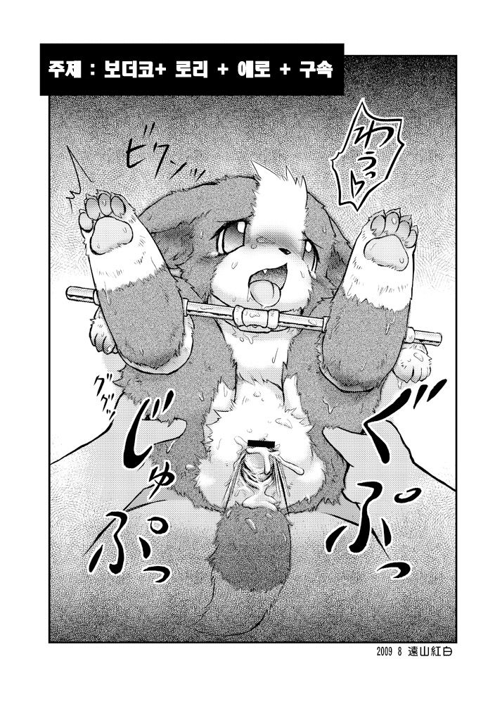 Border Collie Youjo Hokan Keikaku Vol. 1 page 12 full