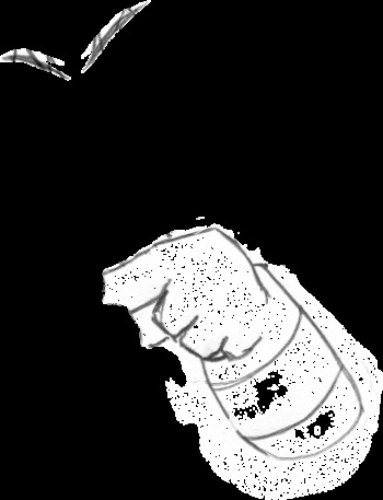 GIFs (Furries) Update 1-3-2014 cover