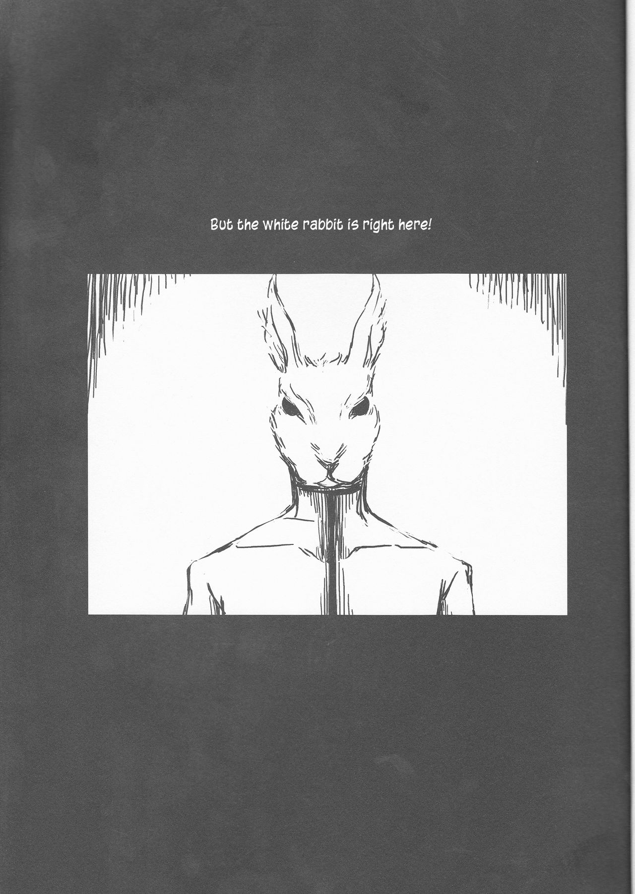 Liddell page 5 full