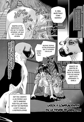 [KnF][Takashi Tachibana] Ready and Willing at the Pet Shop [Español] cover