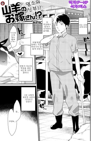 [Mizone] Yagi no oyomesan!? (Comic Anthology Qoopa Vol.5) [Korean] cover
