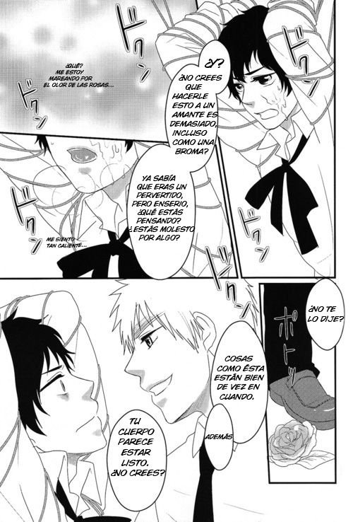 El cautivo de la rosa page 10 full