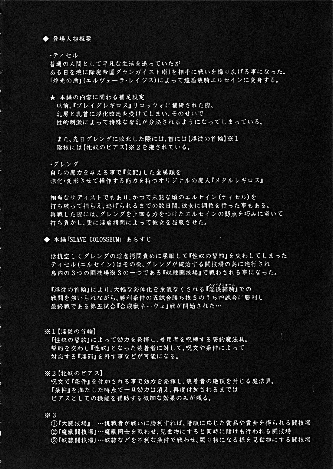 Shield Knight Elsain Vol. 9 SLAVE COLOSSEUM page 3 full
