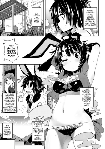 [Sakurai Energy] Welcome to the Zoo! [ENG] [thetsuuyaku] cover