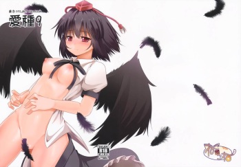(C84) [Neko no Kone (Takeyu)] Aidane 9 (Touhou Project) cover