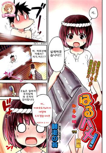 [Shiwasu no Okina] Haru Hame! [Korean] [Team Rosybory] cover