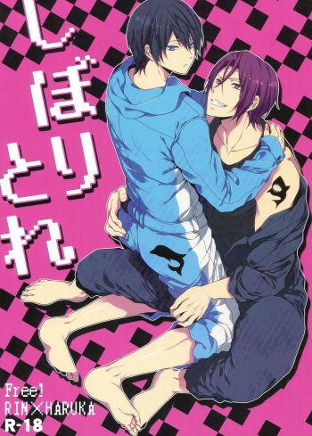 (C85) [Aiou (Aoshi Hina)] Shiboritore (Free!) cover