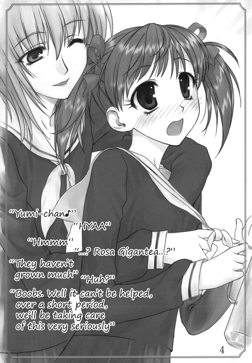 Maria-sama no niwa de page 3 full
