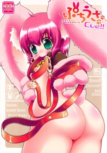 (COMIC1☆7) [Cat Expert (Nekousa)] Puchi Usa cue!! cover
