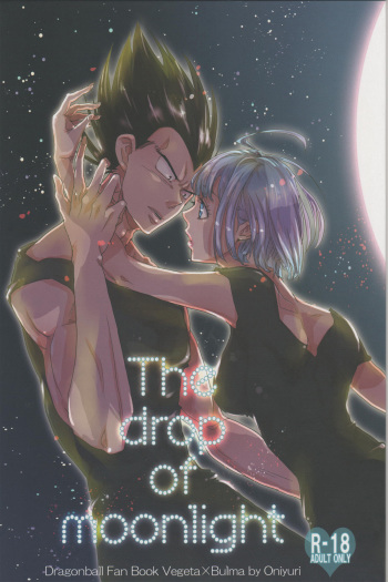 (C82) [Hatarakimasen.. (Oniyuri)] The drop of moonlight (Dragon Ball Z) cover