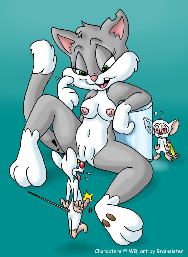animaniacs page 2 full