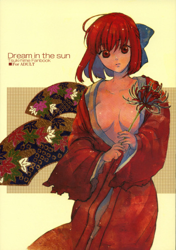 [Aihara Otome (Yamada Nyoriko)] Dream in the sun (Tsukihime) [French] cover