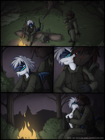 [jaynaylor] Horse and Shark cover