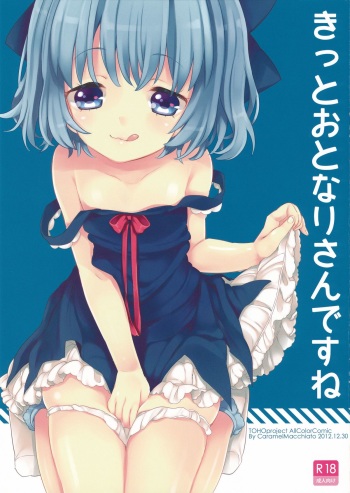 (C83) [Caramel Macchiato (Maki)] Kitto Otonari-san desu ne (Touhou Project) cover