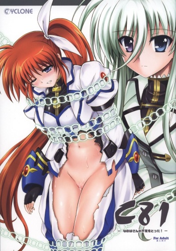 (C81) [Cyclone (Izumi, Reizei)] Nanoha-san ga Fukaku wo Totta! (Mahou Shoujo Lyrical Nanoha) cover