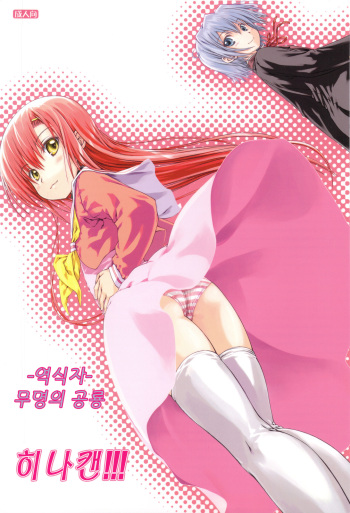 (COMIC1☆3) [SuperFlatLolinitron (Focke Wolf)] HINA-CAN!!! (Hayate no Gotoku!) [Korean] cover