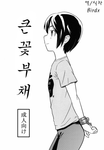 (C82) [Reflection (U-hi)] Beni Uchiwa [Korean] [Birdx] cover