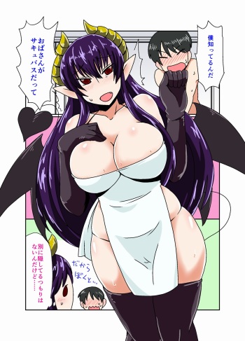 [Hroz] Succubus no obasan. cover