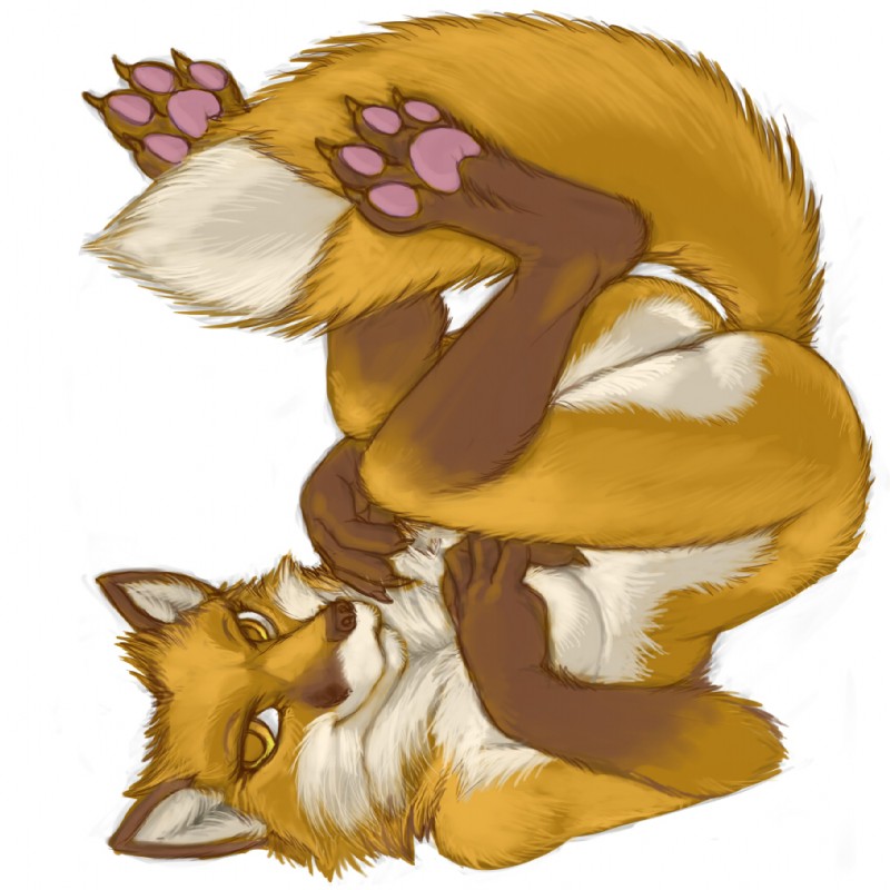 furry female solo 14 page 1 full