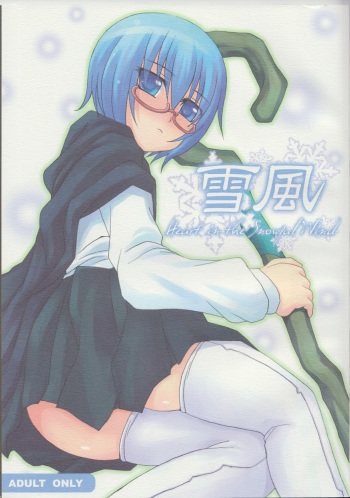 (C73) [Nine's Graphics (GENSHI)] Yukikaze ~Heart in the Snowful Wind~ (Zero no Tsukaima) cover