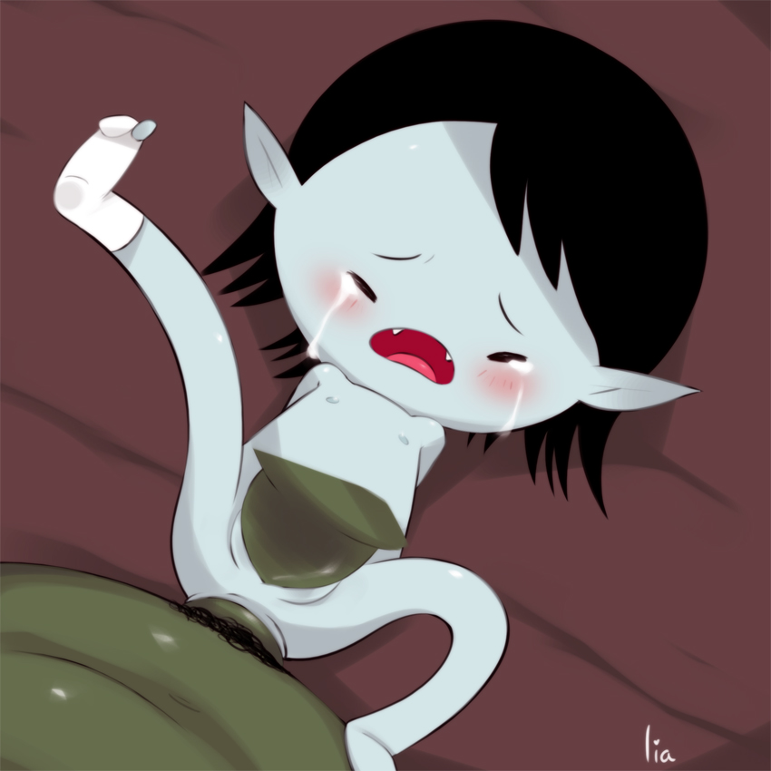Marceline Collection page 12 full