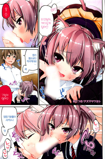 [Azuma Sawayoshi] Nekotsuki (COMIC HOTMiLK 2013-05) [Korean] cover