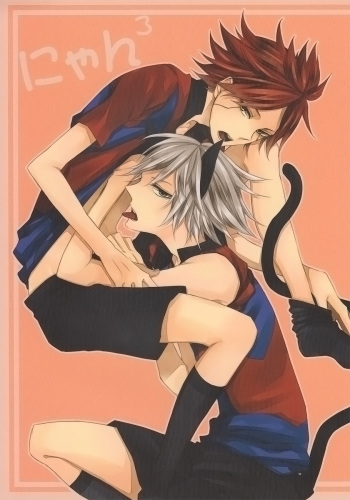 [End Roll] Nyan×3 (Inazuma Eleven) cover