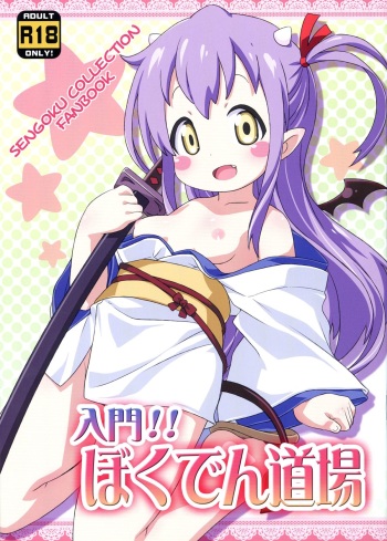 (C84) [Yumesaki Annai Kairanban (Hiro Hiroki)] Nyuumon!! Bokuden Dojo (Sengoku Collection) cover
