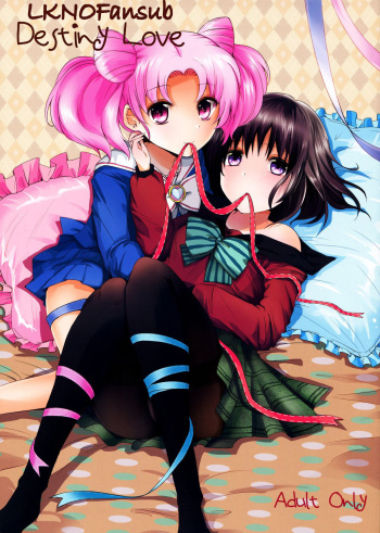 (C83) [momoirohoppe (Rei)] Destiny Love (Bishoujo Senshi Sailor Moon) [Spanish] [LKNOFansub] cover
