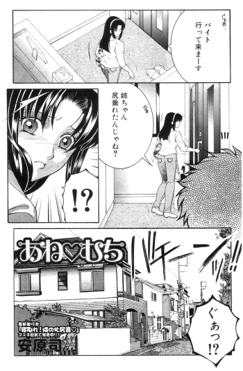 [Yasuhara Tsukasa] Ane Muchi cover