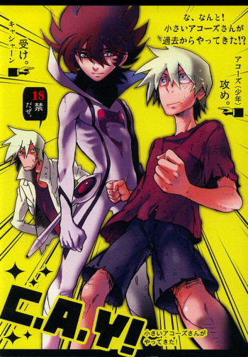 [dokumanikkusu] C.A.Y! (Casshern Sins) cover