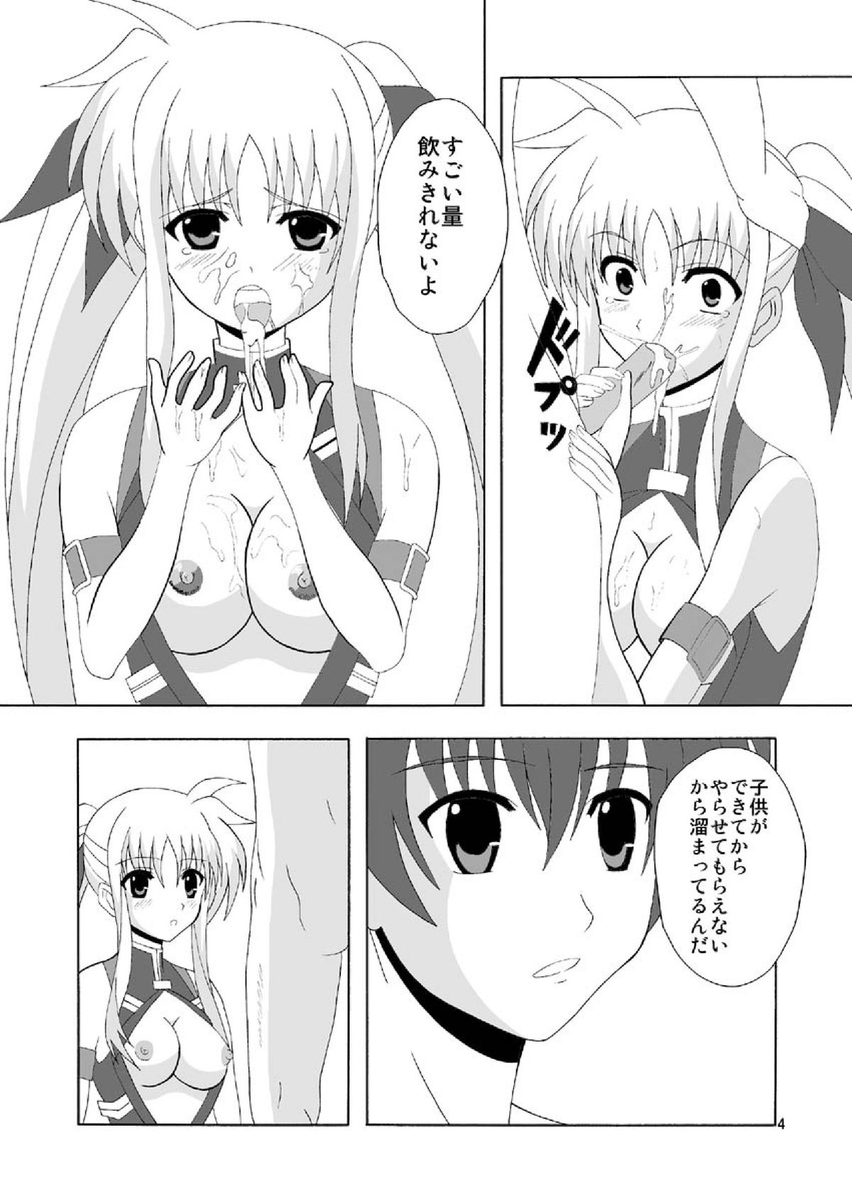 Fate de Fudeoroshi page 4 full