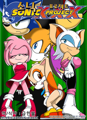 [Palcomix] Sonic XXX Project (Sonic the Hedgehog) (korean) cover