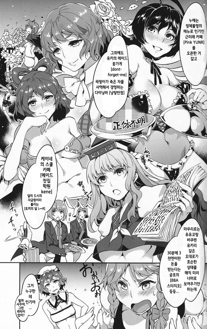 Touhou Gensou Houkai Ryou page 12 full