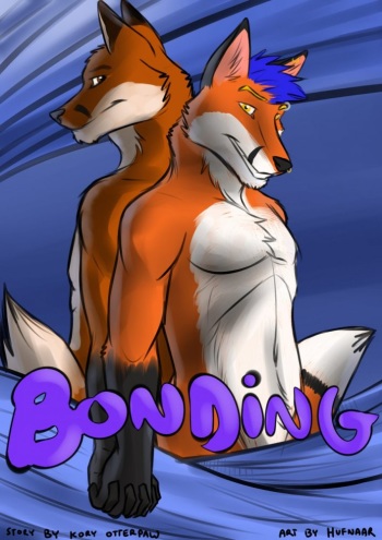 [Hufnaar] Bonding cover
